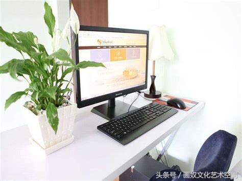 2023辦公桌植物擺放位置 免費睡覺的地方